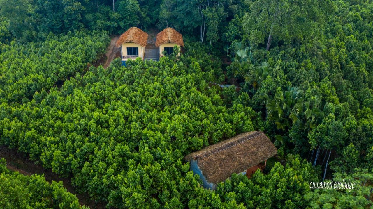 Cinnamon Eco * Nam Hoac