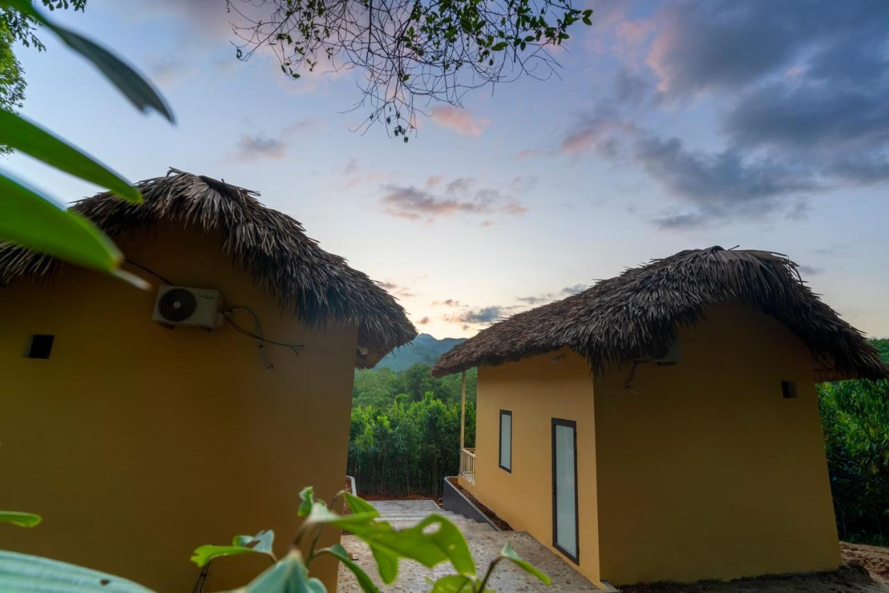 Lodge Cinnamon Eco