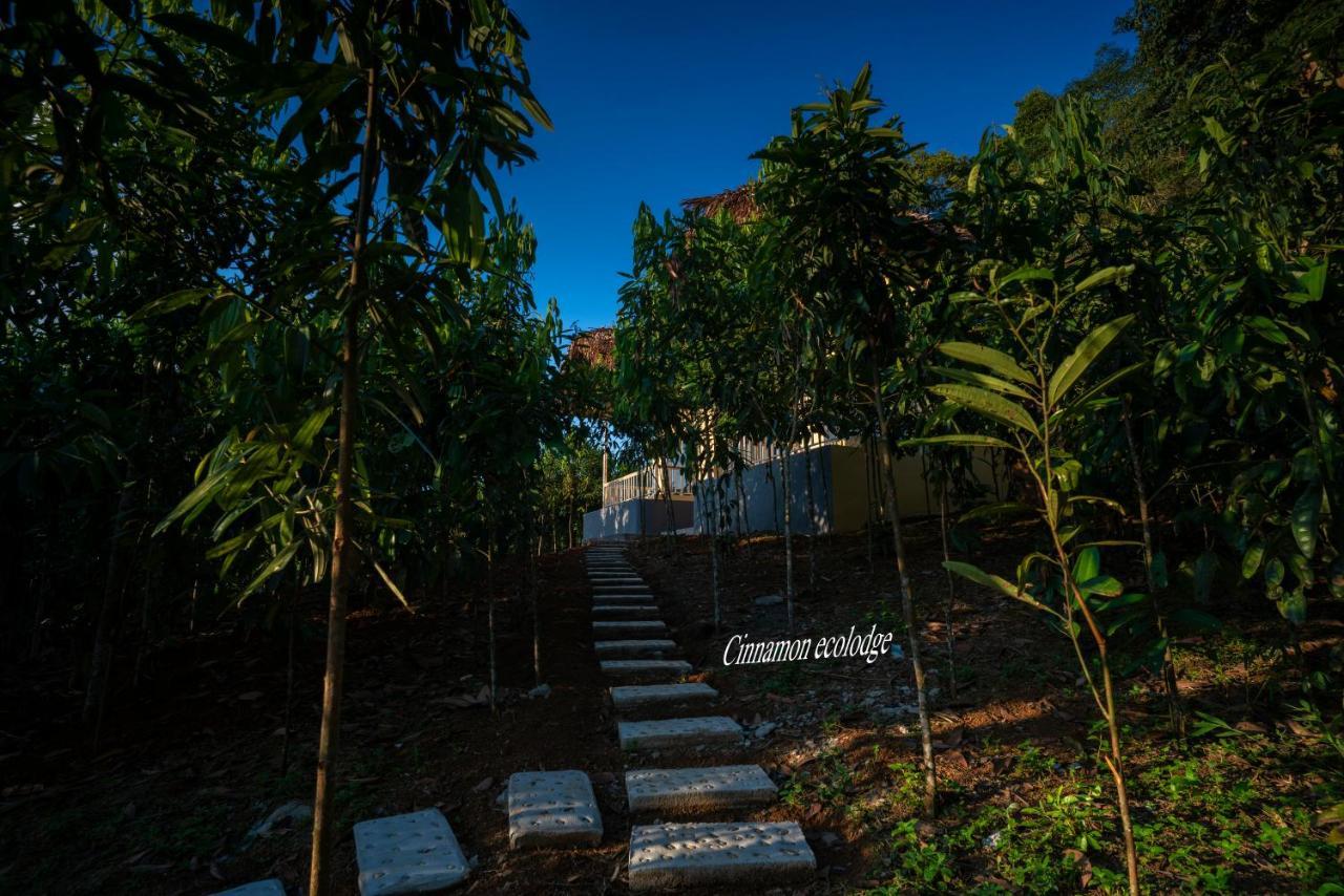 Cinnamon Eco Lodge Nam Hoac