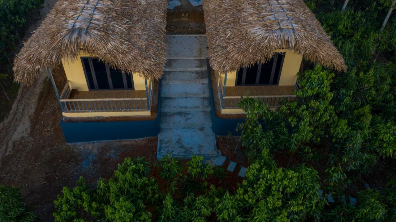 Cinnamon Eco