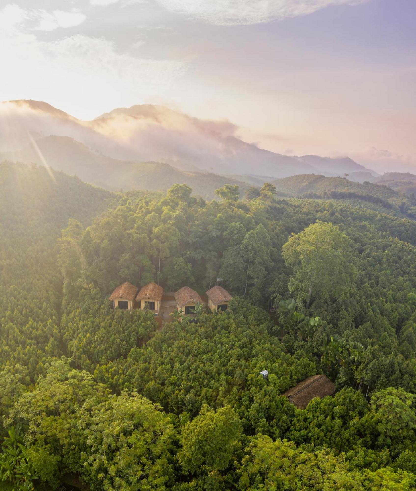 Lodge Cinnamon Eco