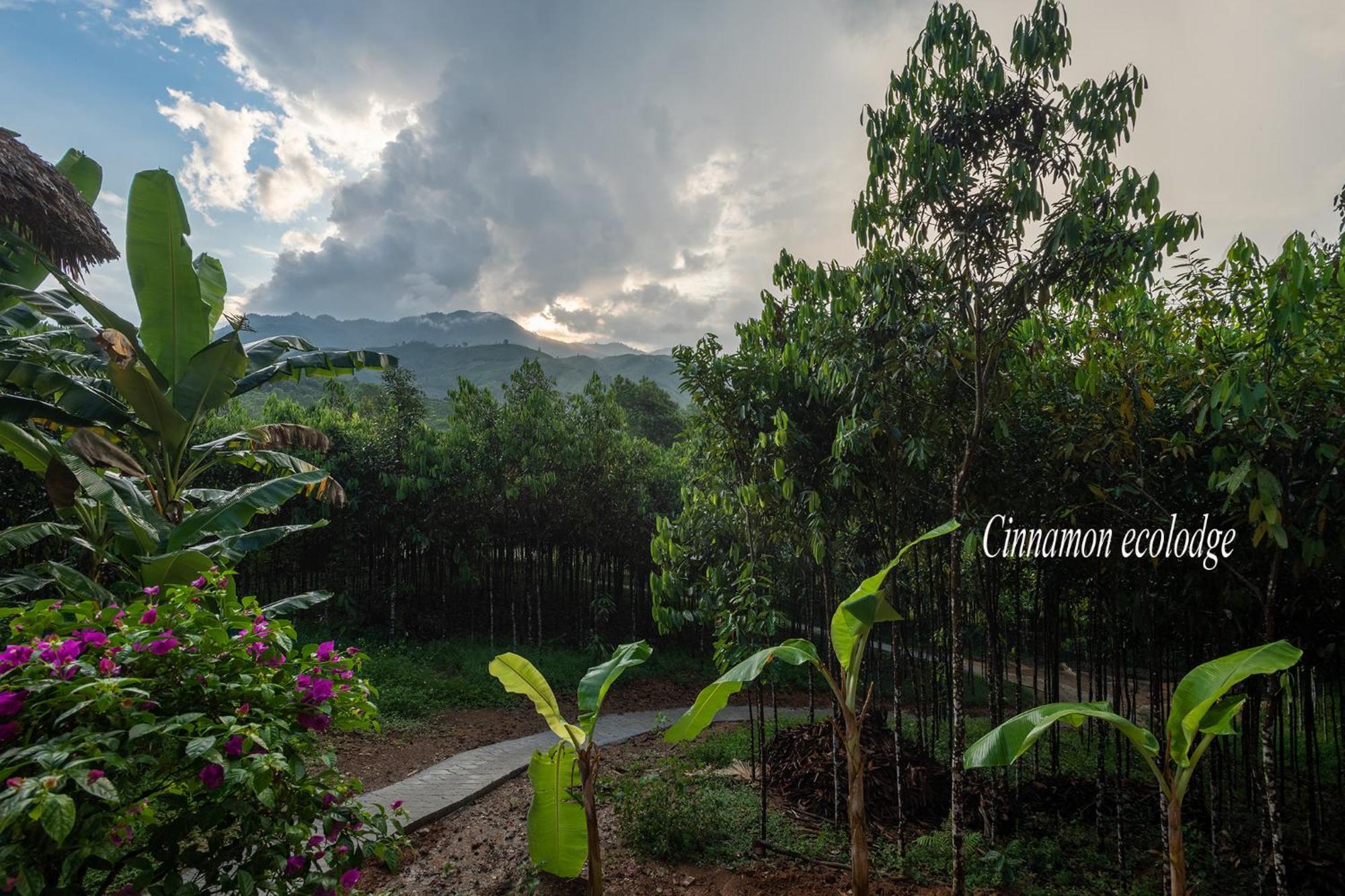 Cinnamon Eco Nam Hoac