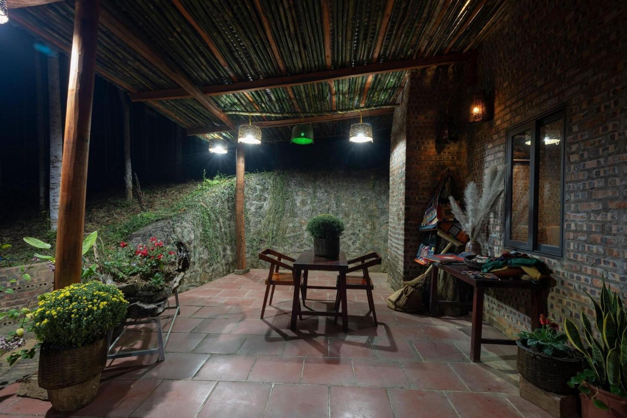 Lodge Cinnamon Eco *