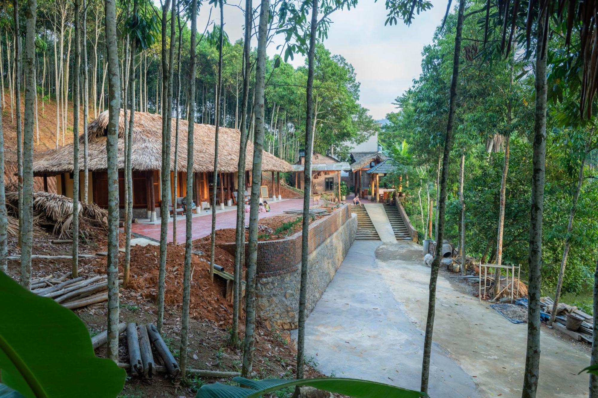 Lodge Cinnamon Eco