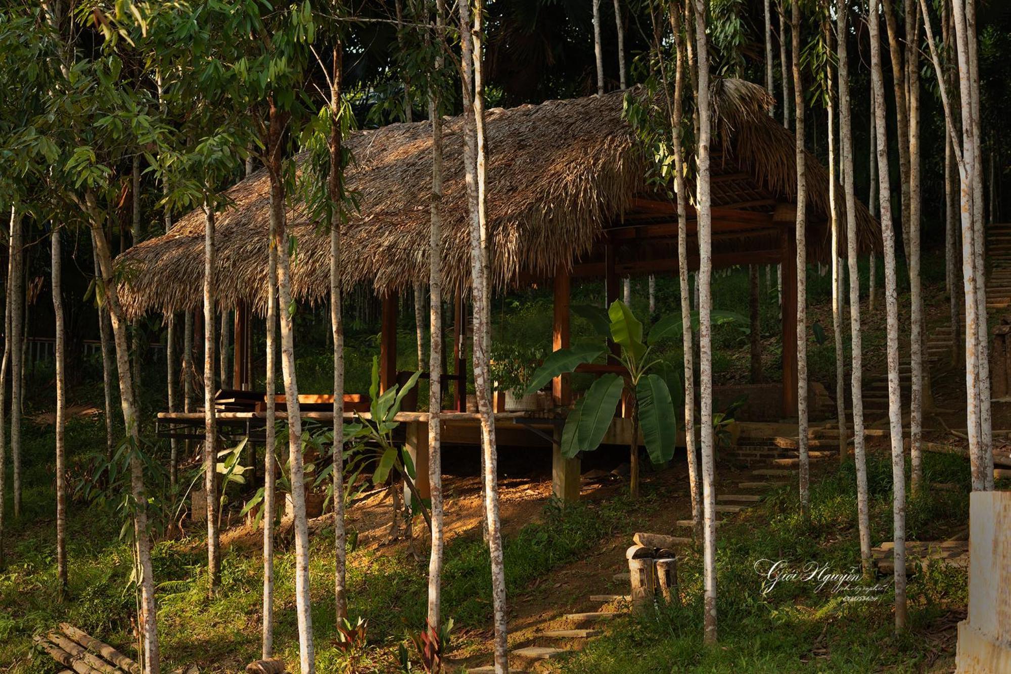 Cinnamon Eco Nam Hoac