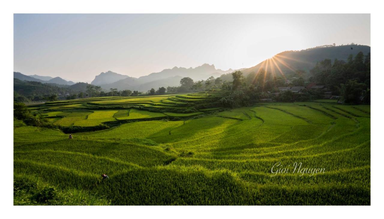 Cinnamon Eco * Nam Hoac