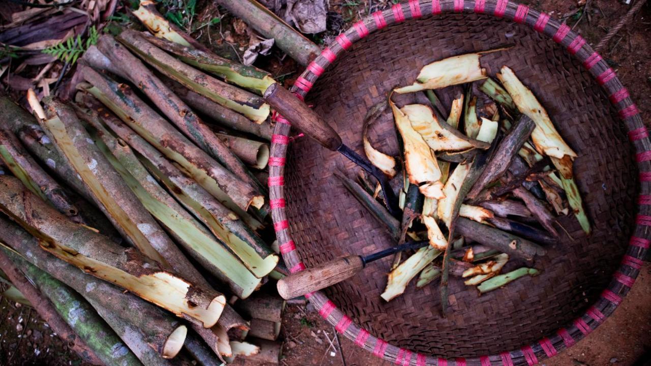 Cinnamon Eco Lodge