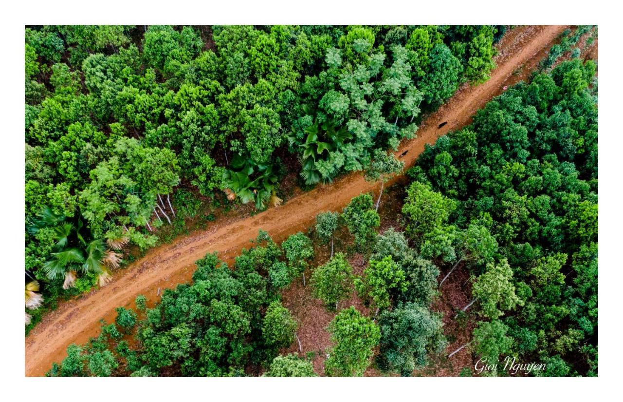 Cinnamon Eco Lodge *